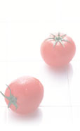 �C���[�W�摜